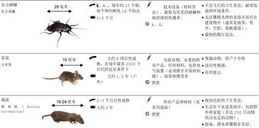 有机产品仓储中的病虫害调节